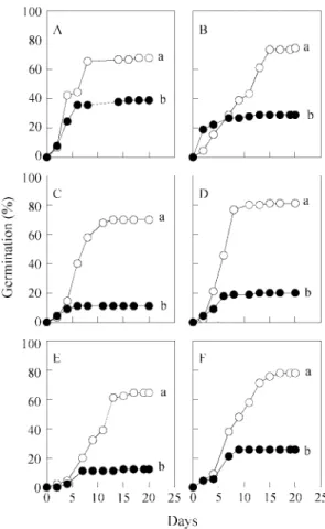 Figure 1. Germination at 25 °C in light (open symbols) and in darkness (closed symbols) of newly collected (harvest 1997) achenes of B