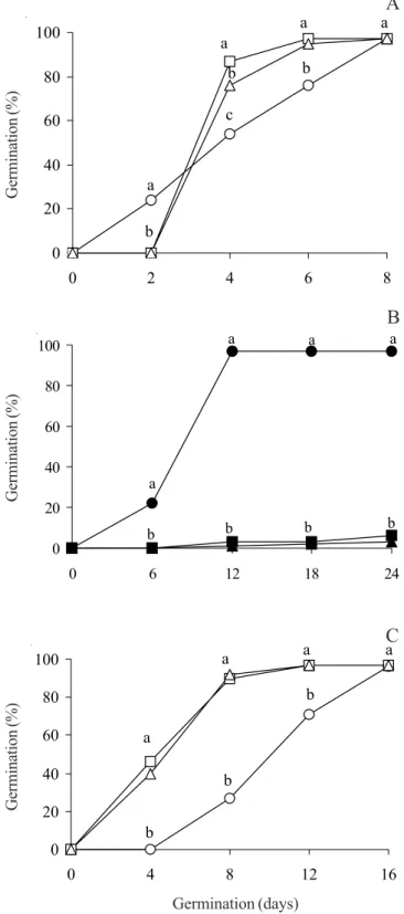 Figure 1. Effect of immersion in LN for 15 min (A, B) or 90 days (C), on the germination of spores of Rumohra adiantiformis (Forst.) Ching