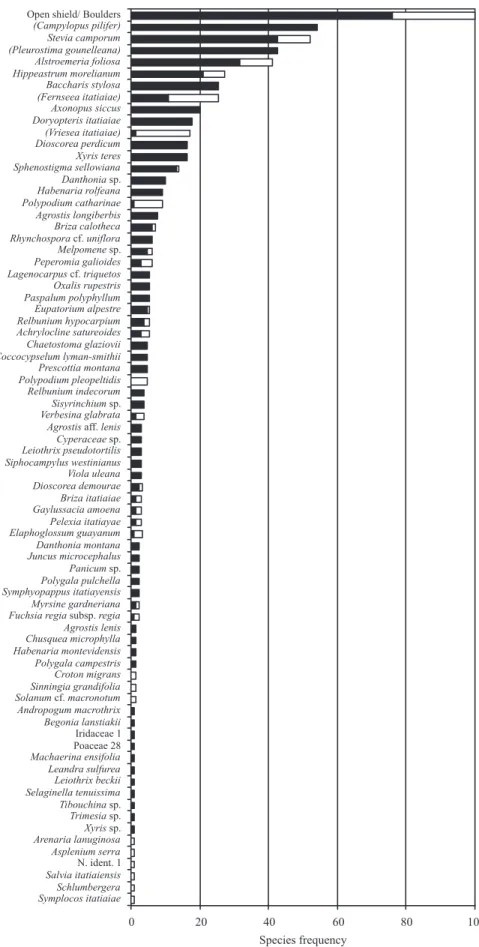 Figure 9. Ranked frequency of species in the rupicolous vegetation islands in Itatiaia