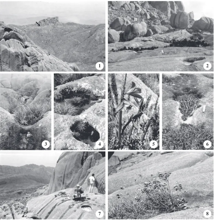 Illustration of the main habitats within the study area – A. open shield area; B. boulder on the tallus slope