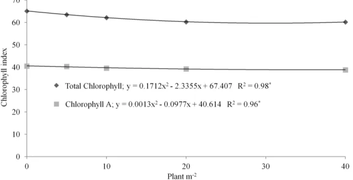 FIGURE 4. Chlorophyll index in maize leaves (means of two densities) as a function of the forage crop  plant density in Dourados, MS, Brazil, 2012.