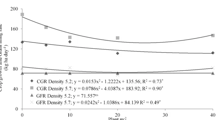 FIGURE 5.  Crop  growth  rate  (CGR)  and  Grain  filling  rate  (GFR)  (kg  day  ha -2 )  of  maize  at  two  plant  densities (5.2 and 5.7 plants m -2 ) alone and intercropped with different plant densities of Urochloa brizantha 
