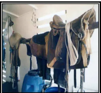 Foto 19 – Os Acessórios dos Vaqueiros Utilizados na Montaria dos Cavalos.  Fonte: Acervo Pertencente a Francisco Janio Filgueira Aires, 2005