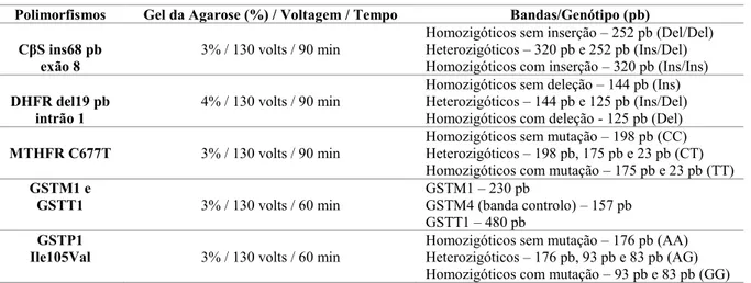 Tabela 3.4 – Características do gel de electroforese para cada polimorfismo e bandas visualizadas  Polimorfismos  Gel da Agarose (%) / Voltagem / Tempo  Bandas/Genótipo (pb) 