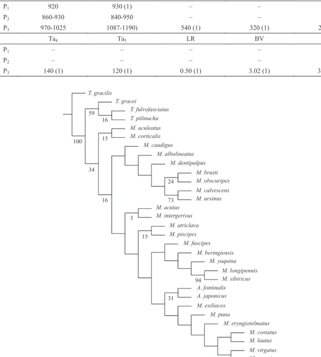 Fig 11 Most parsimonious cladogram obtained under equal weights (Fit = 38.58; length = 102.489; CI = 0.39; RI = 0.57)