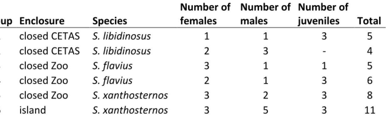 Table 1. Group composition and enclosure distribution.  