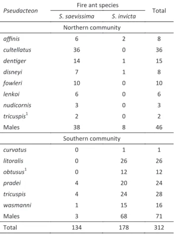 Table  1  Abundance  of  Pseudacteon   species  in  selected  municipalities in the state of São Paulo, Brazil