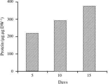 Figure 4. Protein concentrations (µg.µg DW -1 ) in ammonium + nitrate treatment on the 5 th , 10 th  and 15 th  days.