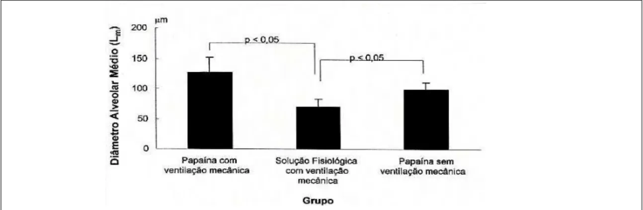 Figura 2 - Demonstração e variação da medida do diâmetro alveolar médio de acordo com os grupos analisados