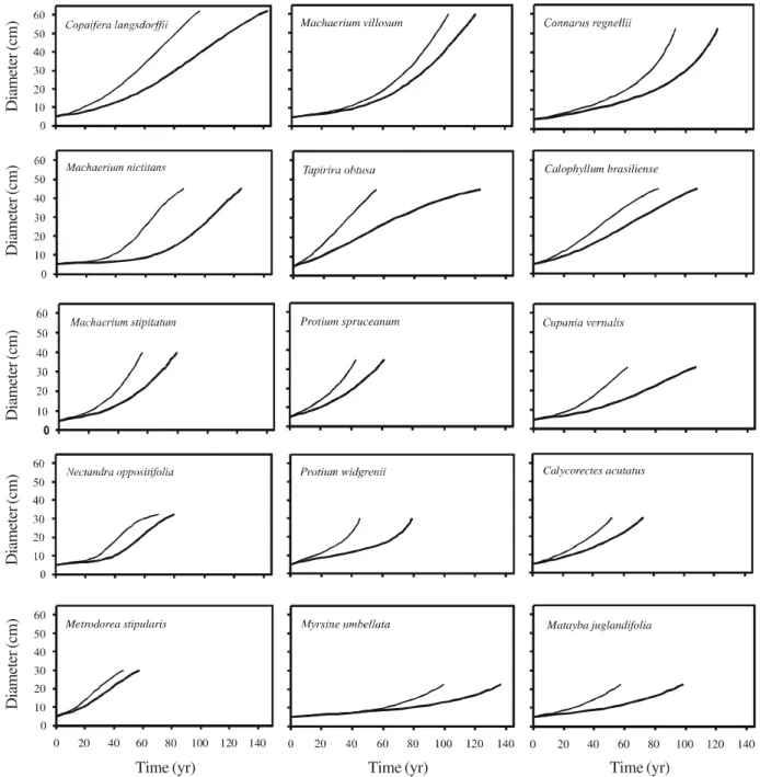 Figure 2. Simulated diameter trajectories for 15 tree species surveyed in 1990 and 1997 in an area of tropical semideciduous forest, in Bom Sucesso, Brazil