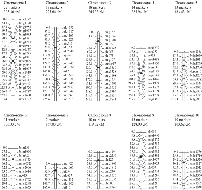 Figure 1. Dense genetic map of tropical maize, constructed with 139 microsatellite markers, based on 256 F 2  plants derived from  crossing L-02-03D and L-20-01F parental lines