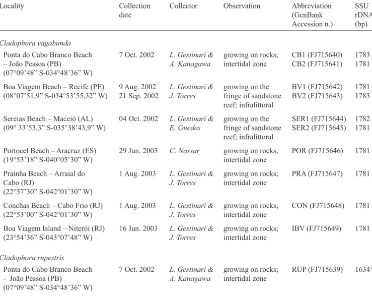 Table 1: Collection information for Cladophora vagabunda individuals and C. rupestris from Brazil, the SSU rDNA gene size  (bp = bases pairs), and GenBank accession number.