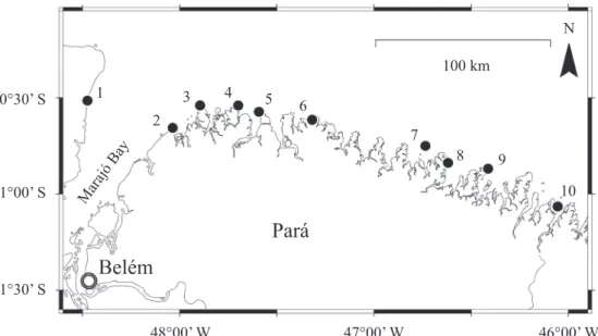 Figure  1.  Restinga  study  sites  along  the  coast  of  Pará  State,  Brazil  (name  of  the  corresponding  administrative  district  in  parentheses): 1