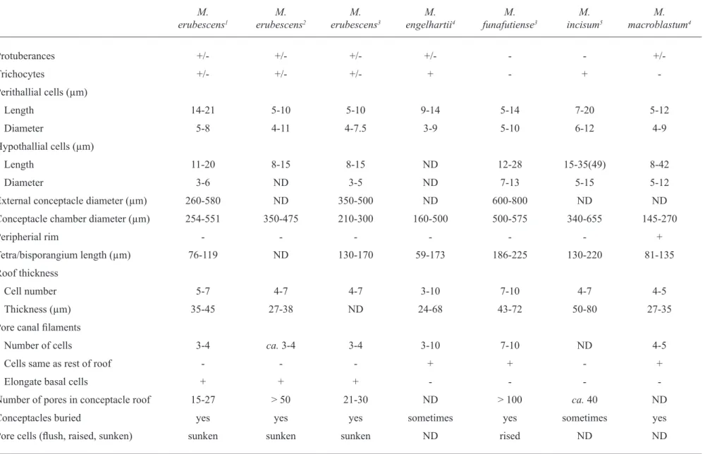 table 1. a comparison of some recently described Mesophyllum species based on selected vegetative and reproductive characters (+ = presence; - = absence; +/- =  character that may be either present or absent; nd = data not available).