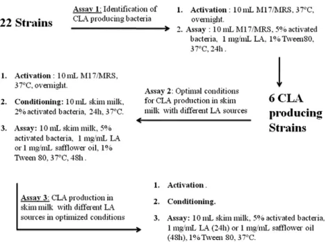 Table 2 shows that the highest levels of CLA production occurred for L. acidophilus Lac1 and B