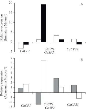 Figure 7. Relative expression analysis of cysteine (CaCP1,  CaCP4 and CaCP23) and aspartic (CaAP2) proteinases  between endosperms from immature and mature coffee  fruits (A) and between Adamantine and Mococa (B)