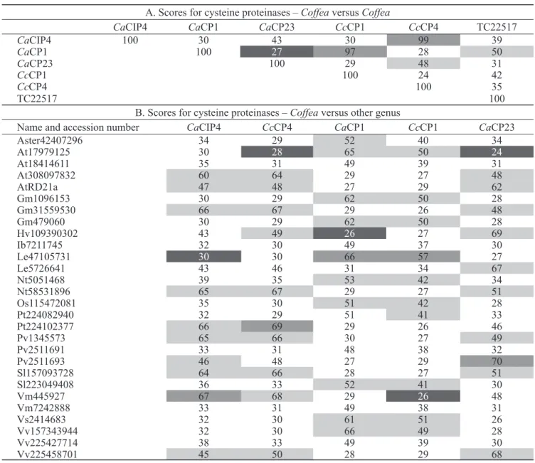 Table 2. Clustalw alignment scores for amino acid coffee proteinase sequences and other sequences obtained from the NCBI  OR TIGR databases