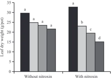 Figure  2.  Effects  of  the  interactions  between  Nitroxin  and  lead concentrations on stem dry weights