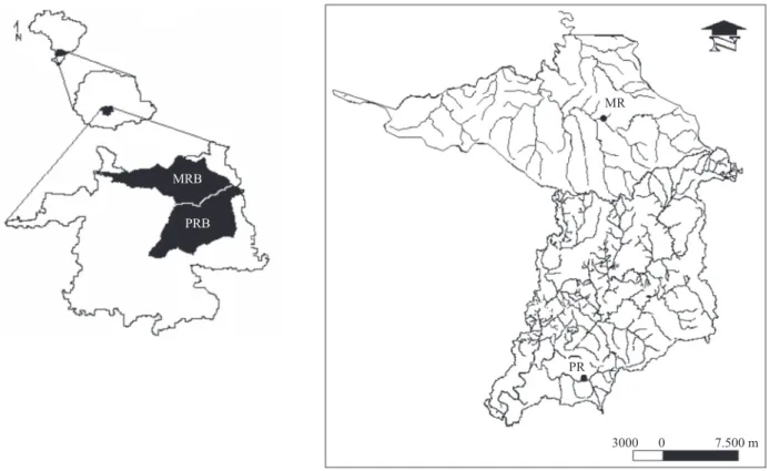 Figure 1. Details of the two drainage basins where the study was conducted indicating the sampling sites within the Pedras  river (PRB) and Marrecas river (MRB) drainage basins in the central-southern region of Paraná State, Brazil, during the period  betw