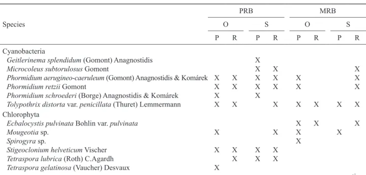 Table 1. Macroalgae species encountered in different mesohabitats (P = pools; R = riffles)  of streams (O = open; S = shaded)  within the drainage basins of the Pedras river (PRB) and Marrecas river (MRB), located in the central-southern region of Paraná  