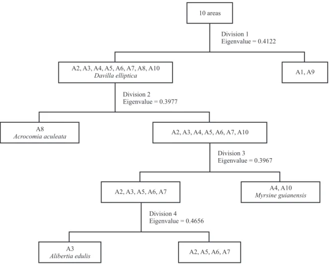 Figure  2.  Dendrogram  generated  by  divisive  classification  (TWINSPAN)  of  10  areas  of  rocky  outcrop  cerrado  surveyed  in Goiás State, Brazil