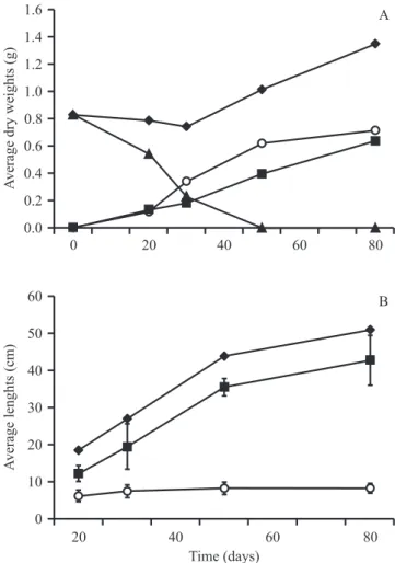 Figure  1.  Average  dry  weights  of  the  roots,  cotyledons,  shoots and of the entire plants (A), and average lengths of  the roots, shoots and of the entire plants (B) of  Copaifera  langsdorffii  grown on soil substrates under natural conditions   be