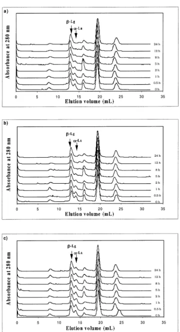 Fig. 2. FPLC profile of whey proteins after hydrolysis for 0, 0.5, 1, 2, 5, 8, 12 and 24 h, effected by the fraction of crude extract precipitated at (a) 30%