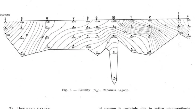 Fig.  3  - Salinity  ("/00)'  Cananéia  lagoon. 