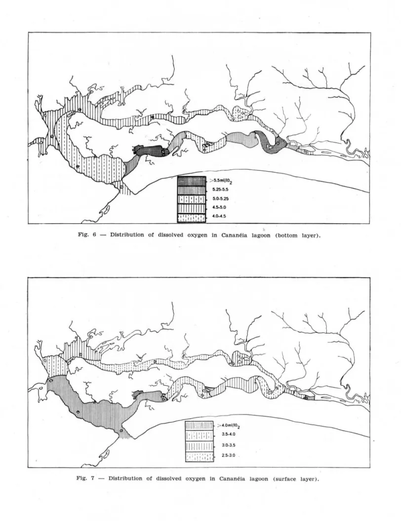 Fig.  6  - DlstributIon  of  dlssolved  oxygen  in  Cananéia  lagoon  (bottom  layer)