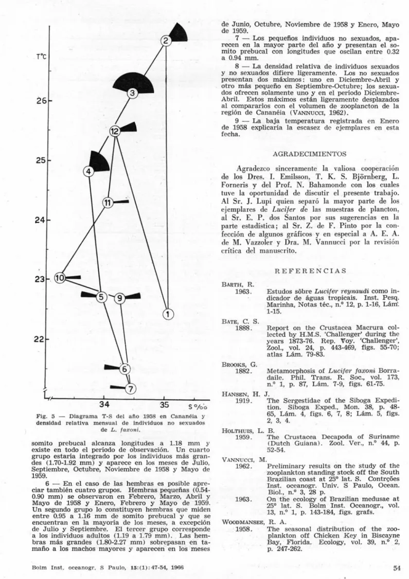 Fig.  5  - Diagrama  T-S  de I  afio  1958  en  Cananéia  y  densidad  relativa  mensua l  de  individuos  no  sexu a dos 