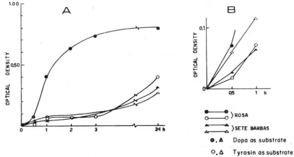 Fig.  9  - Enzyme  activity  of  'camarão-rosa'  and  'camarão-legitimo'. 
