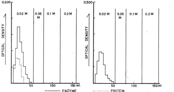 Fig.  7  - Elution  of  tyrosinase  from  Celite  545  column. 