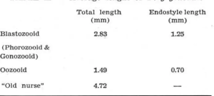 TABLE  IH  - Width  of  muscles  as  percentage  of  total  muscle  length  in  D.  gegenbauri,  &#34;old  nurses&#34; 