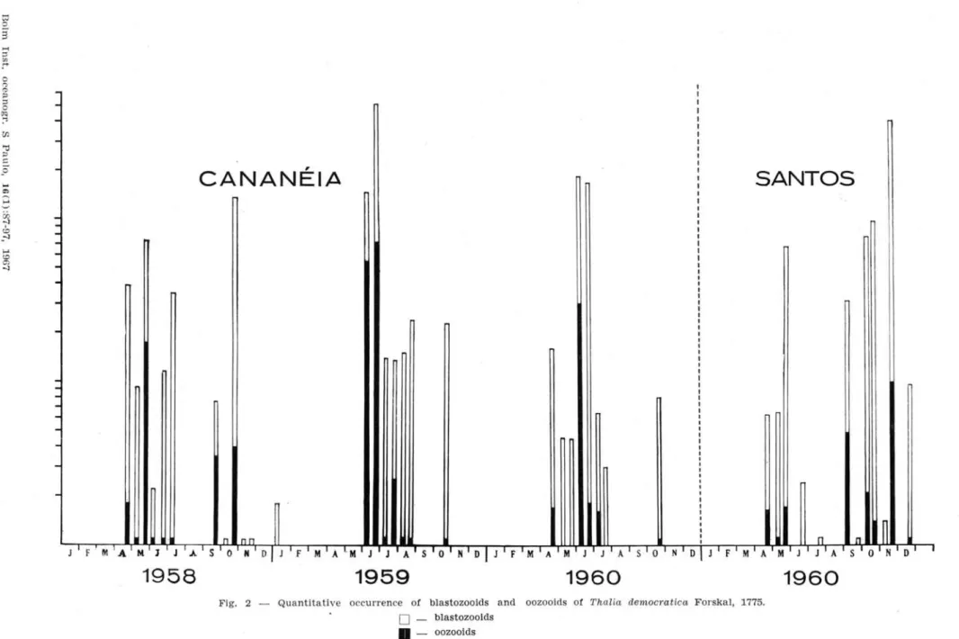 Fig.  2  - Quantitative  occurrence  of  blastozooids  and  oozooids  oi  Thalia  democratica  F orskal,  1775