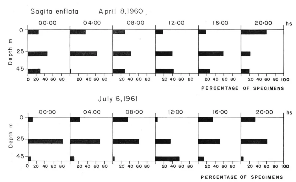 Fig.  7  - Vertical  distribution  oi  S.  enjlata  oi!  Santos. 