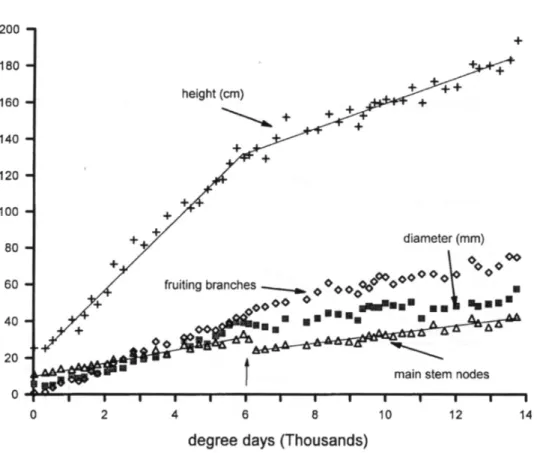 Figure 4. Data on plant height, branch and mainstem node number and stem diameter (see Figure 3).