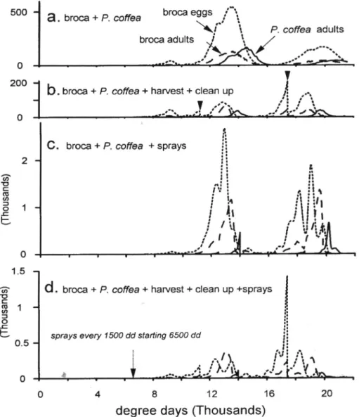 Figure 12. Simulation studies of (a.) borer - P. coffea dynamics, (b.) the same as (a.) but with 95 percent efficiency of harvest and clean, (c.) the same as (a.) with the added effects of a weak insecticide applied at 1500dd intervals, and (d.) the effect