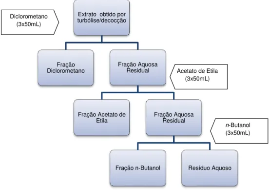 Figura  4  -  Esquema  ilustrativo  da  partição  líquido-líquido  do  extrato  obtido  por  turbólise/decocção dos cladódios da O