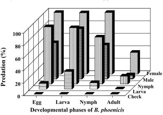 Figure 2. Percentage of predation of B. phoenicis at different developmental stages by larva, nymph and adult (male and female) of I