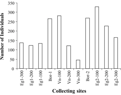 Figure 1. Number of individuals of Hymenoptera parasitoids per Malaise trap in Ipaba, state of Minas Gerais, Brazil