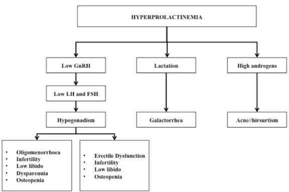 Figure 6. Clinical manifestations of hyperprolactinemia (modified from Vilar and Naves, 2012)