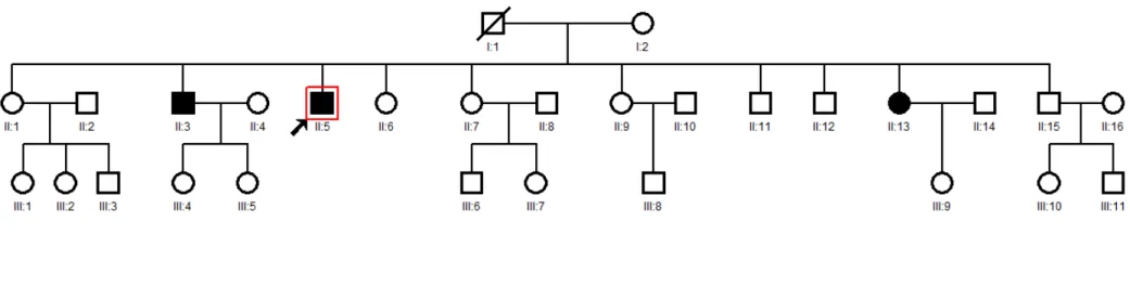 Figure  8.  Familial  isolated  prolactinoma  pedigree. Black filled shapes represented affected siblings