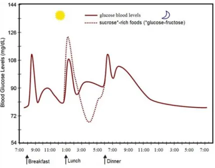 Figure 1.6  Fluctuation of blood sugar (red) in humans during the course of a day with three  meals