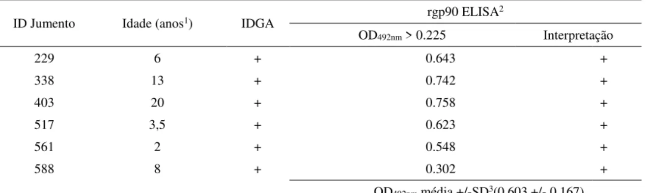 Tabela  1  -  Identificação  de  jumentos  soropositivos  para  AIE  nos  testes  de  IDGA  e  rgp90  ELISA  em  Mossoró - RN 