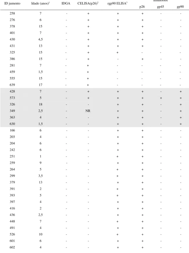 Tabela 2 – Análise de amostras de soro de jumentos da região de Mossoró, negativas no teste de IDGA e  testadas em cELISA, rg90 ELISA e IB 