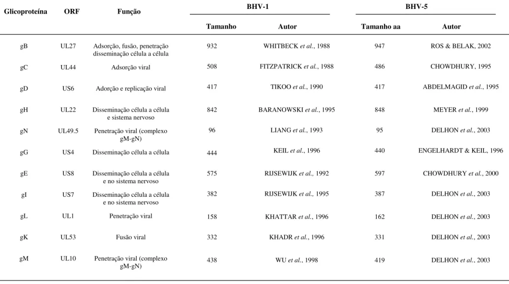 TABELA 1: Glicoproteínas do herpesvírus bovino 1 e 5 