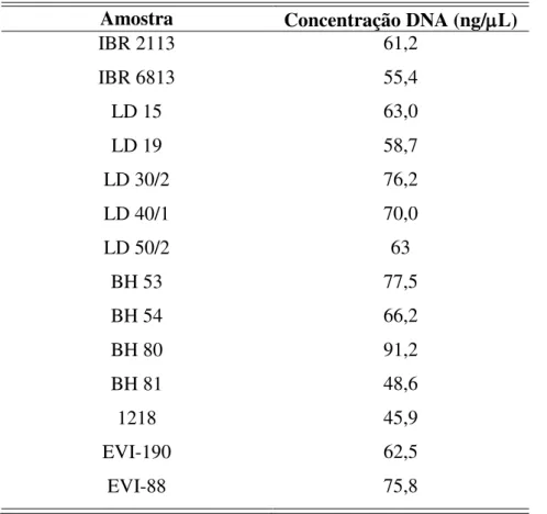 TABELA  6:  Concentração  de  DNA  viral  (ng/L)  extraído  dos  isolados usando a metodologia de extração de DNA com NaOH
