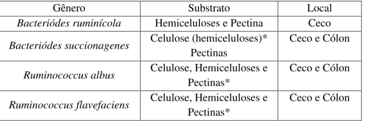 Tabela  2.  Principais  bactérias  que  degradam  a  parede  celular  vegetal  presente  no  trato digestivo de suínos