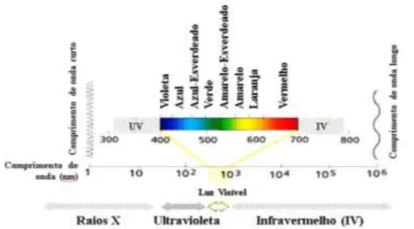 Figura 7. Espectro de absorção de luz em diversos comprimentos de onda (). 