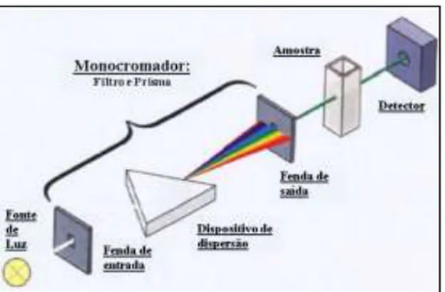 Figura 8. Componentes e funcionamento de um espectrofotômetro para análise  da  absorção  de  um  determinado  comprimento  de  onda  específico  de  uma  solução